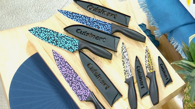 https://www.freestufffinder.com/wp-content/uploads/2023/06/Cuisinart-Multicolored-Animal-Print-10-Piece-Knife-Set-On-a-Table.jpg