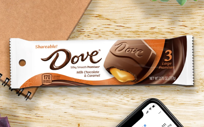 Dove Large Promises Milk Chocolate Bar