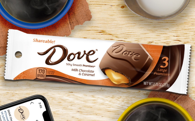 Dove Large Promises Milk Chocolate Caramel Candy Bar