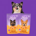 Halo Holistic Dog Food Samples