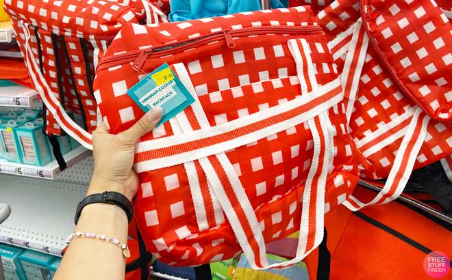 Hand Holding a Gingham Cooler Backpack Red