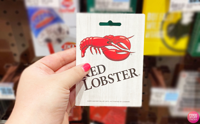 Hand Holding a Red Lobster Gift Card