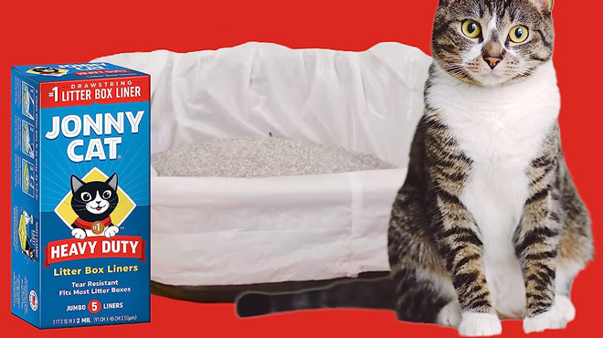 Jonny Cat Litter Box Liners Box infort of a cat litter and a cat