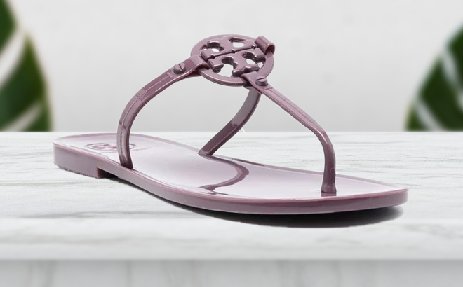 Tory Burch Mini Miller Jelly Thong Sandal in Eggplant Color