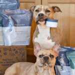 Two Dogs Surrounded by Spot Tango Dog Food Packs