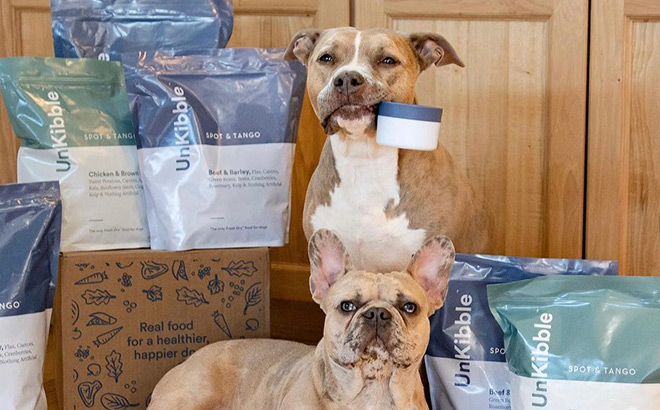 Two Dogs Surrounded by Spot Tango Dog Food Packs