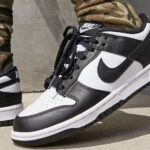 dunk low womens shoes