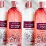 Bath and Body Works Shampoo and Conditioner