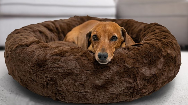 Best Friends by Sheri Calming Donut Pet Bed in Lux Dark Chocolate color