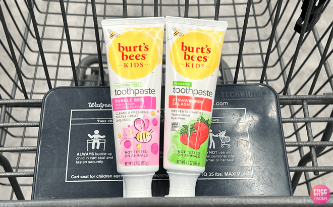 Burts Bee Kids Toothpaste Bubble Bee and Strawberry Splash