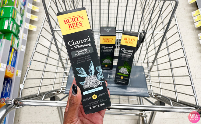 Burt's Bees Toothpastes