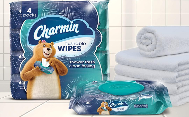 Charmin 160 Count Flushable Wipes Charmin 160 Count Flushable Wipes