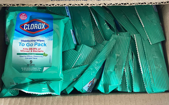 Clorox Disinfecting On The Go Travel Wipes 24-Pack 