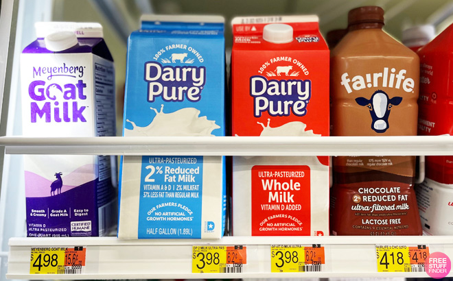 Dairy Pure Milks on a Shelf