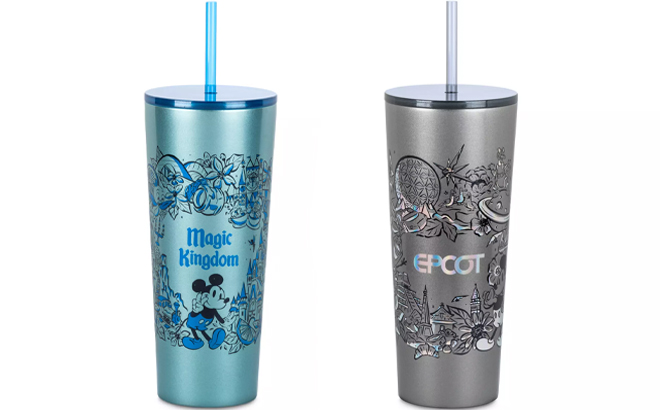 Disney Magic Kingdom and EPCOT Stainless Steel Starbucks Tumblers with Straw