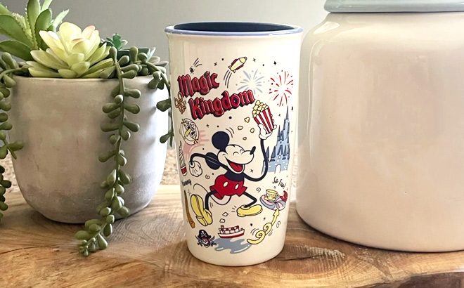 Disney Starbucks Magic Kingdom Porcelain Tumbler