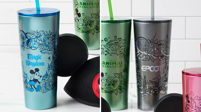 Disney Starbucks Stainless Steel Tumblers with Straw