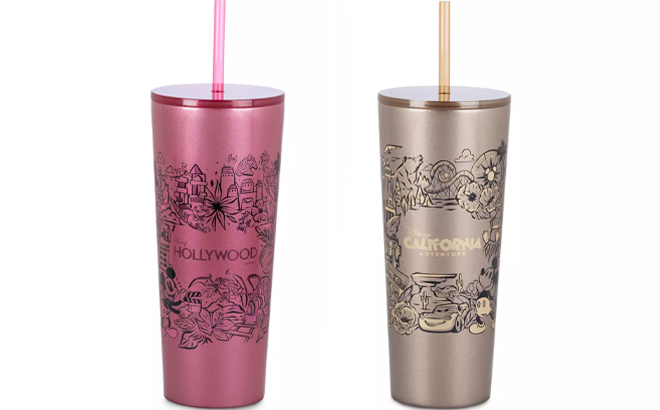 Disneys Hollywood Studios and California Adventure Stainless Steel Starbucks Tumbler with Straw