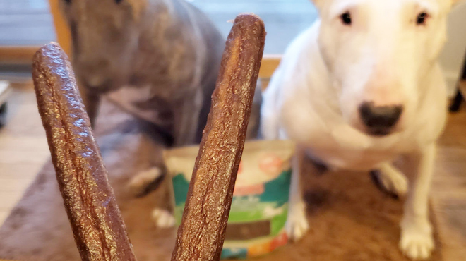 Dogs treated to Plato Natural Chicken Dog Treats