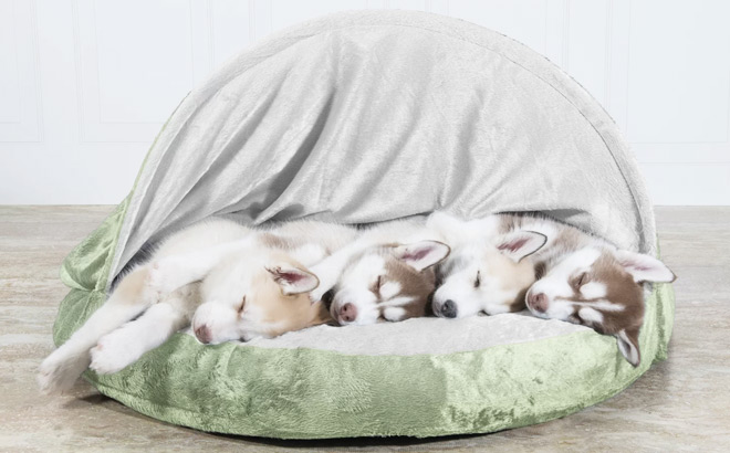 Four Puppies Sleeping in a Hooded Dog Dome