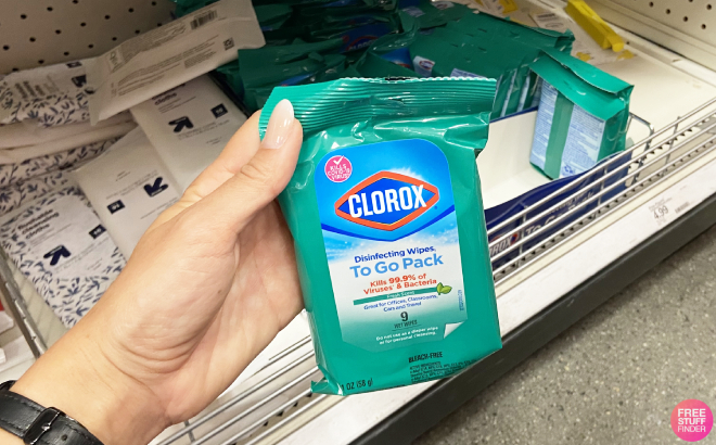 HAnd Holding a Pack of Clorox Fresh Disinfecting Wipes