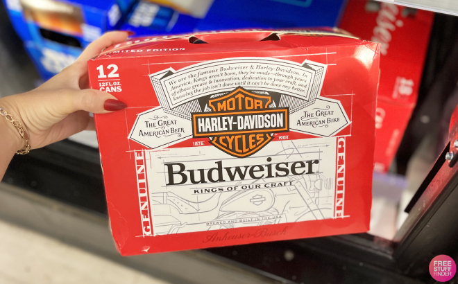 Hand Holding a Box of Budweiser Beer