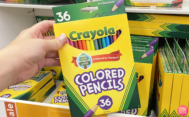 Hand Holding a Box of Crayola 36 Count Colored Pencils