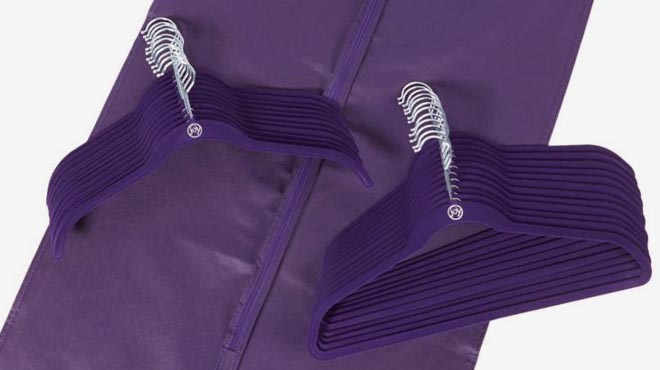 Joy Hangers with Garment Bag Violet