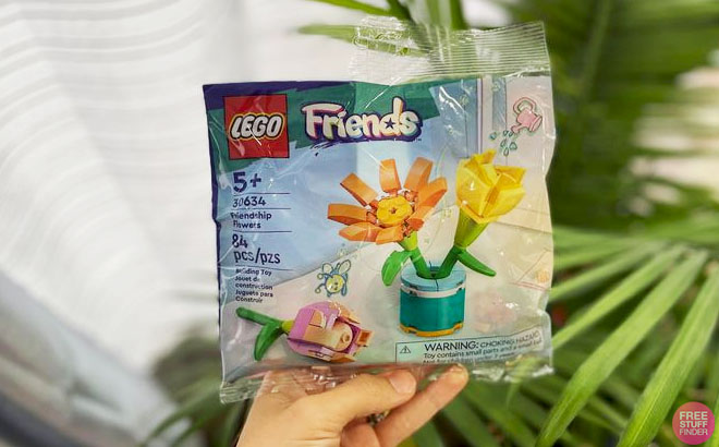 LEGO Friends Friendship Flowers