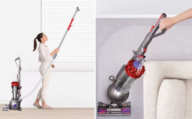 Woman Using Dyson Ball Animal Origin Upright Vacuum