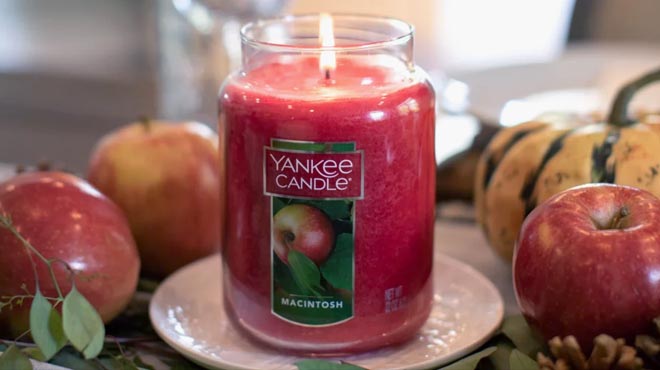 Yankee Original Large Jar Candle Macintosh