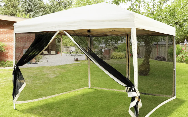 Zermeno 10 x 10 Pop Up Canopy Tent with Netting