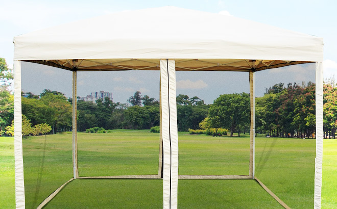 Zermeno 10 x 10 Pop Up Canopy Tent
