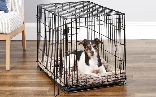 iCrate Single Door Dog Crate