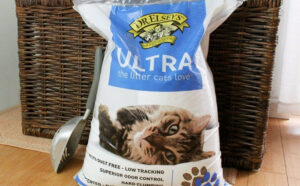 A Bag of Dr Elseys Ultra Unscented Cat Litter 35 lb in Front of a Hamper in the Living Room
