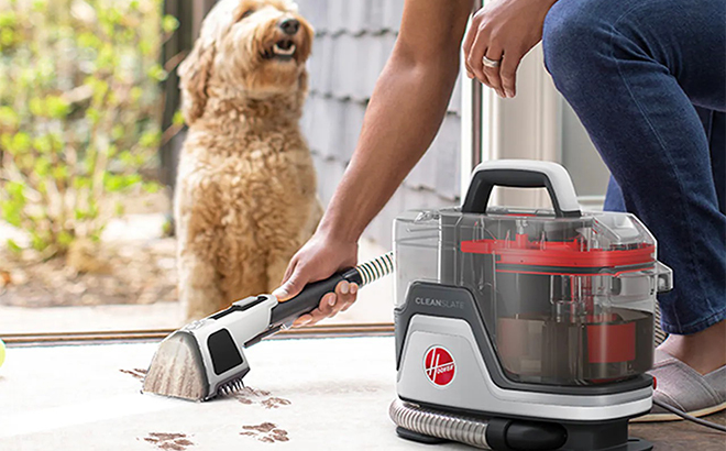 A dog watching their owner use the Hoover Pet Carpet Cleaner