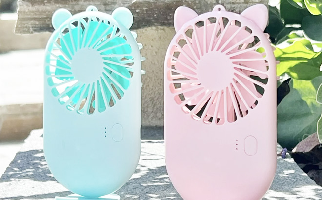 Adorable Summer USB Charging Fan 2 Pack