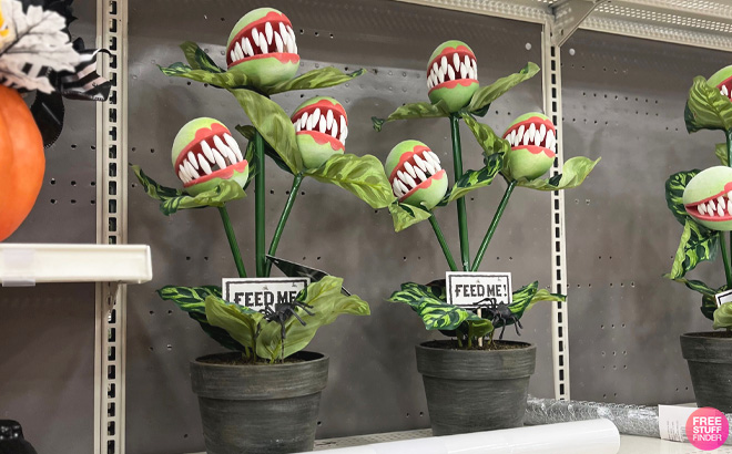 Ashland Potted Venus Flytrap with Feed Me Sign