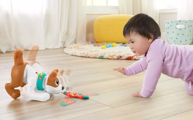 Baby Crawling Towards Fisher Price Puppy Learning Toy
