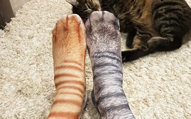 Kitty Cat Feet Socks 