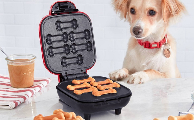 Dash Mini Red Dog Treat Maker on a Table