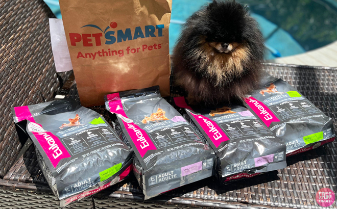 Dog Food at Pet Smart