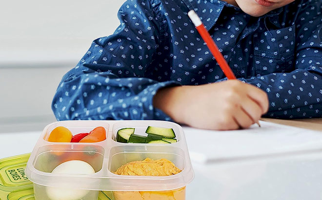 EasyLunchboxes 4 Compartment Bento Snack Boxes EasyLunchboxes 4 Compartment Bento Snack Boxes