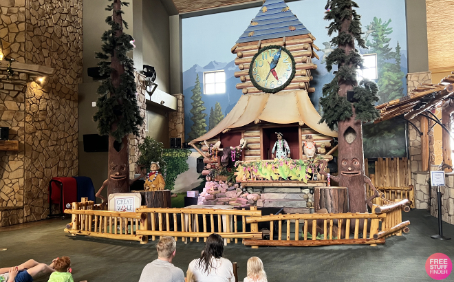 Great Wolf Lodge Tower Show
