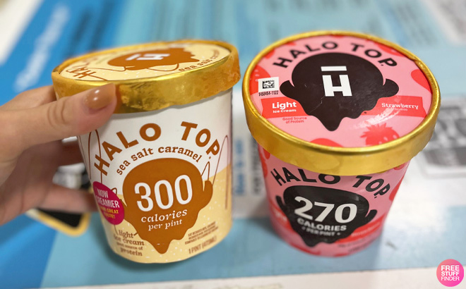 Halo Top Ice Cream at Publix