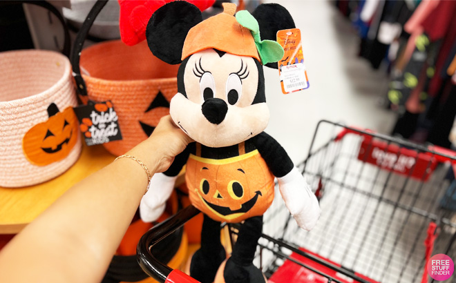 Hand Holding a Minnie Mouse Plush