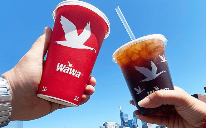 Hands Holding Wawa Beverages