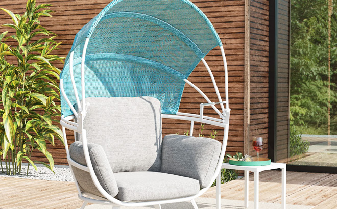 Hollman Egg Patio Chair with Cushions Hollman Egg Patio Chair with Cushions