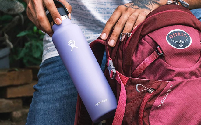 Hydro Flask Standard Mouth Bottle in Lupine color Hydro Flask Standard Mouth Bottle in Lupine color