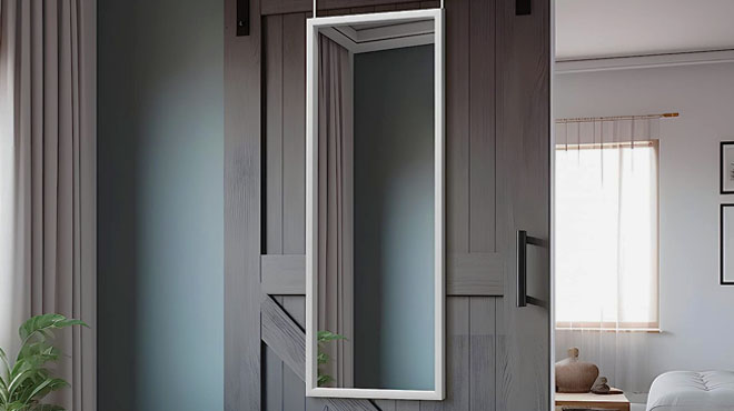 NeuType Full Length Door Mirror NeuType Full Length Door Mirror